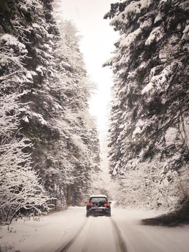a car driving down a snow covered road with trees at Planinska Koliba ABA-TARA in Bajina Bašta