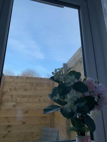 a vase with pink flowers sitting in a window at Annex A, a one bedroom Flat in south London in Carshalton