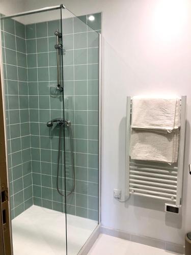 La salle de bains est pourvue d'une douche et de carrelage vert. dans l'établissement Logement neuf, tout confort, au coeur du village, à Saint-Didier