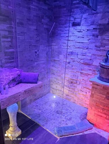 La salle de bains est pourvue d'une douche avec un éclairage violet. dans l'établissement Studio 113, Port Nature 1 au village naturiste, au Cap d'Agde