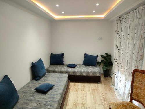 阿爾及爾的住宿－les temps heureux，配有蓝色枕头的客房内的两张床