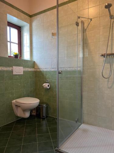 a bathroom with a toilet and a glass shower at Penzion Stanský Mlýn in Hlinsko