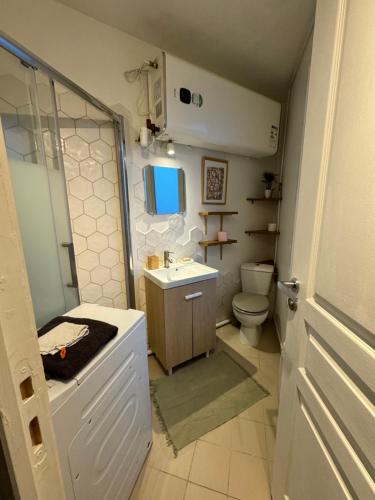 een kleine badkamer met een wastafel en een toilet bij Cosy appartement lumineux in Arcueil