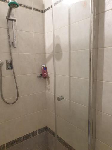 a bathroom with a shower with a phone on a shelf at Casa Vacanze Alice e Arianna in Cairo Montenotte