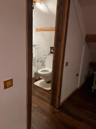 a bathroom with a toilet in a room at Cabana Huta Slavia in Şinteu