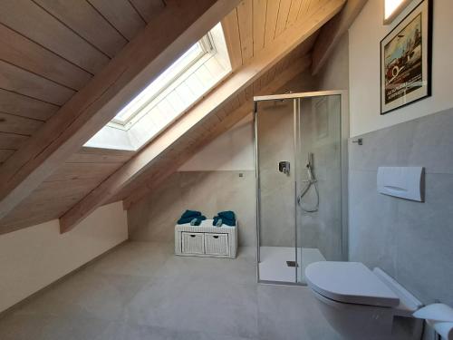 a attic bathroom with a shower and a toilet at Penthouse&Wellness L'Abete in Gargazzone