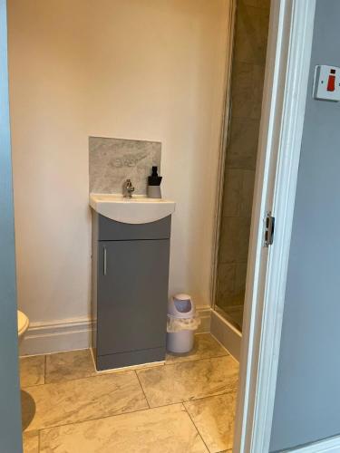 a bathroom with a sink and a shower at Cosy Studio in Manchester