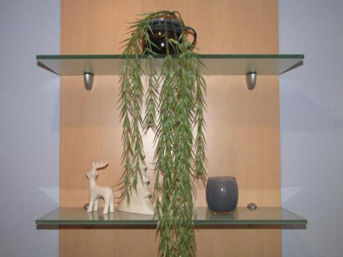 a shelf with a plant and a vase on it at Stollenklause in Hormersdorf