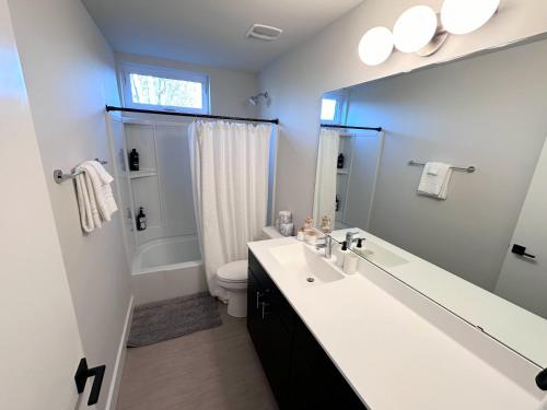 a bathroom with a sink and a toilet and a mirror at Modern House with Terrace Near Forest Park in Saint Louis