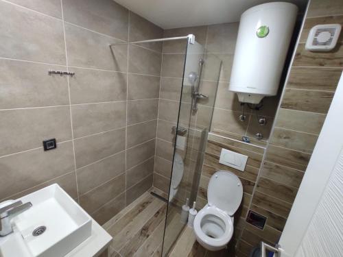 O baie la Milmari N80, Kopaonik