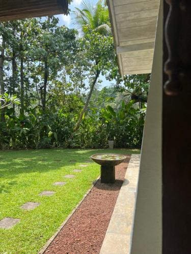 Zahrada ubytování Medusa Bungalow - Galle