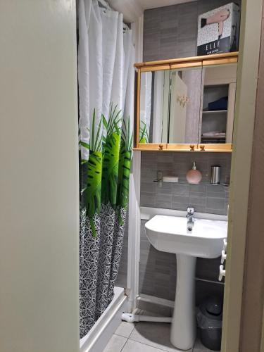une salle de bain avec un lavabo et un miroir dans l'établissement Appartement tout confort, à Boulogne-sur-Mer