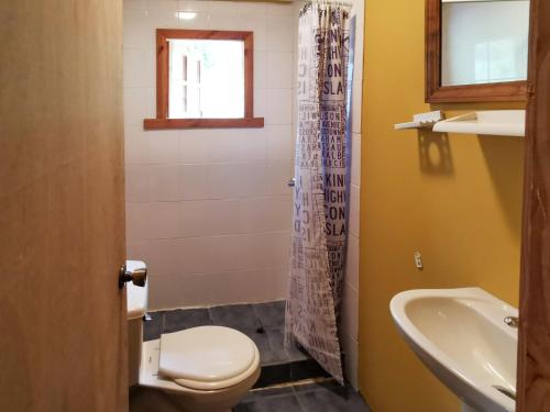 uma casa de banho com um WC e um lavatório em Cabaña Radal en Coñaripe cerca del lago Calafquén em Coñaripe