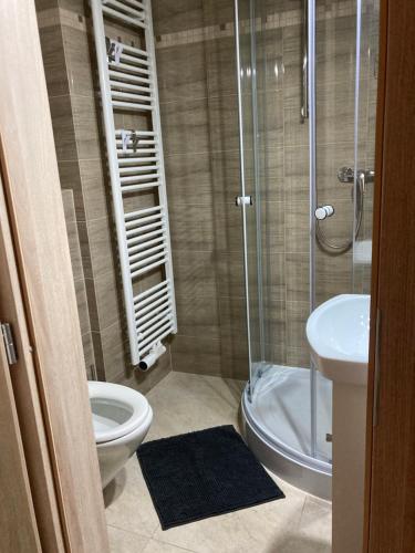 a bathroom with a shower and a toilet and a sink at Apartment In The Garden in Držovice