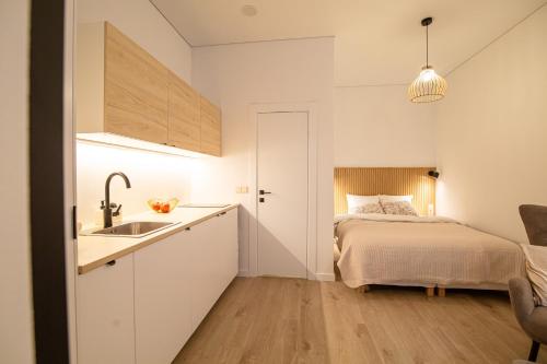 uma cozinha e quarto com uma cama e um lavatório em Lukiskes square apartments (Oldtown) em Vilnius