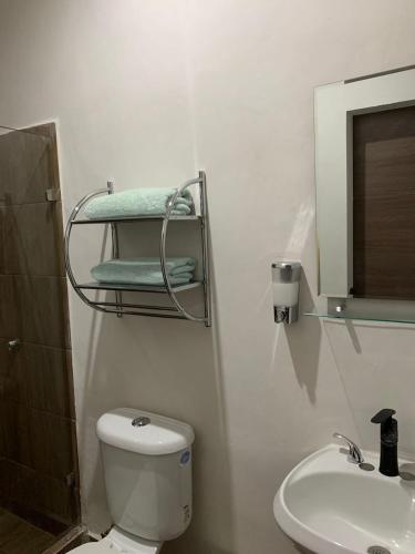 a bathroom with a toilet and a sink and a mirror at Casa Naty in Ciudad Valles