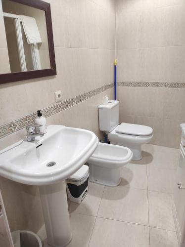 a bathroom with a sink and a toilet and a mirror at EL RINCÓN del TOLOÑO in Haro