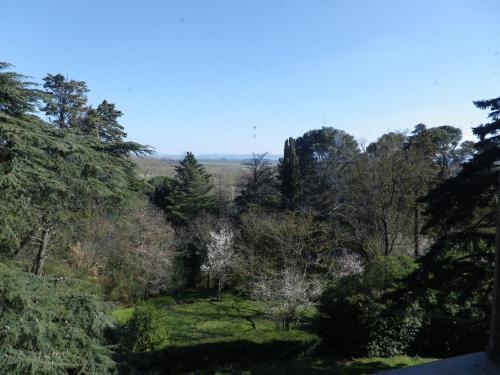 a view of a forest with trees and grass at Chateau la Bouriette in Moussoulens