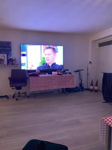 TV a/nebo společenská místnost v ubytování Musholmvej