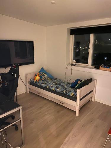Habitación pequeña con cama y ventana grande. en Musholmvej, en Tåstrup