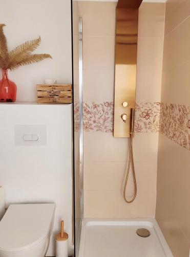 a bathroom with a shower and a toilet at Le studio Dunois in Orléans