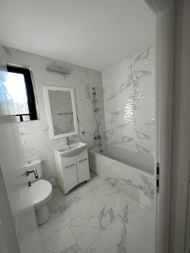 biała łazienka z umywalką i toaletą w obiekcie Chalet IriMa w mieście Copalnic