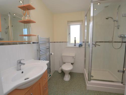 a bathroom with a toilet and a sink and a shower at 1 bed in Bude SCADG in Poughill