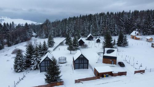 Polana Modraszek v zimě