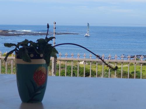 a vase of flowers sitting on a table near the ocean at The Waves of Schulphoek in Hermanus
