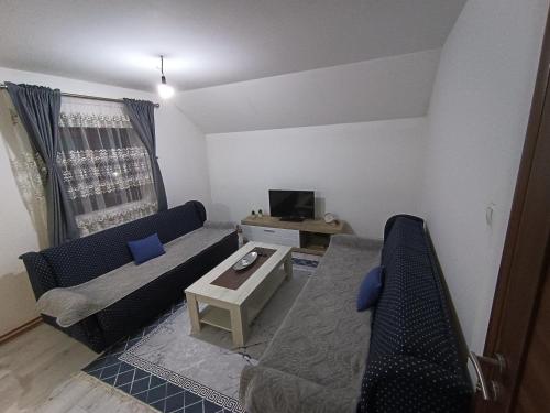 TV a/nebo společenská místnost v ubytování PIN