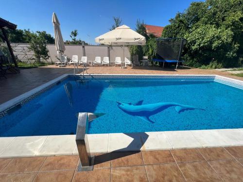 two dolphins are swimming in a swimming pool at Apartman Ms in Jajinci