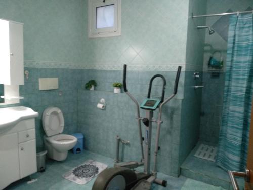 a bathroom with a shower with a toilet and a walk in shower at Villa Potamos in Epanomi
