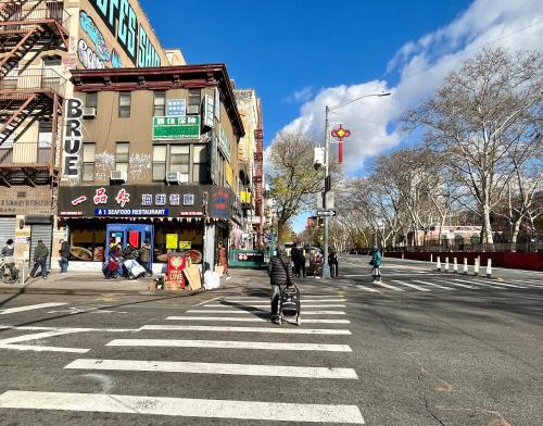 a person with a stroller crossing the street at a crosswalk at moon lotus abode(月蓮居) in New York