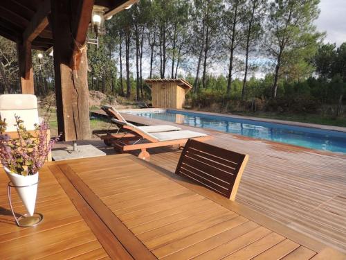 ENTRE CHEVREUIL ET CERF