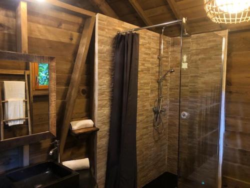 uma casa de banho com um chuveiro e um lavatório. em west indies cottage em Pointe-Noire
