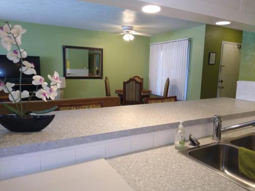 a kitchen with a sink and a living room at Affordable Two Bedroom Tropical Condo - Private Beach, Pools, Hot Tub in St Petersburg