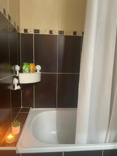 Koupelna v ubytování Apartman Vuković