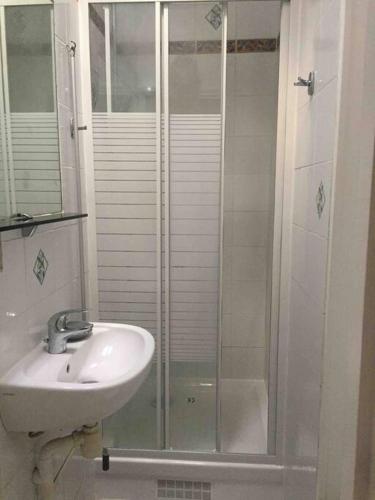 une salle de bain avec un lavabo et une douche dans l'établissement Appartement cosy près du Panthéon, à Paris
