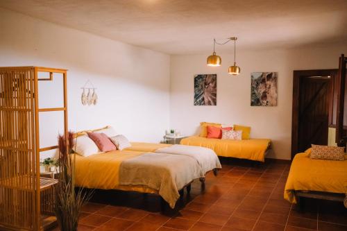 duas camas num quarto com lençóis amarelos em Beautiful Olive's cave house em Lomo de Arico