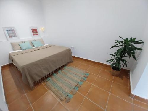 a bedroom with a bed and a potted plant at Cala Salions Balandro II Tossa de mar in Cañet de Mar