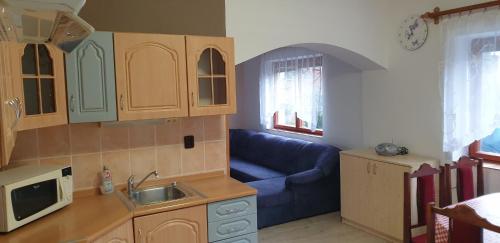 una cocina con fregadero y un sofá en una habitación en Apartmán v centru Království sov, en Králíky