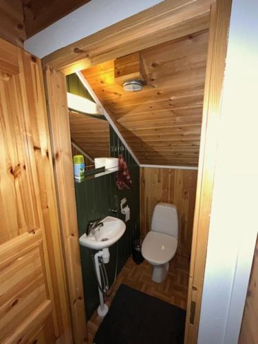 ein kleines Bad mit WC und Waschbecken in der Unterkunft Levi Piippo 2 in Kittilä