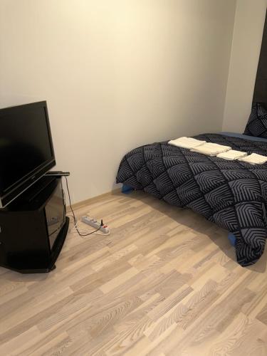 TV a/nebo společenská místnost v ubytování Ade 1