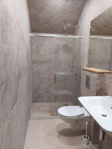 a bathroom with a shower and a toilet and a sink at B&B Panevėžys in Panevėžys