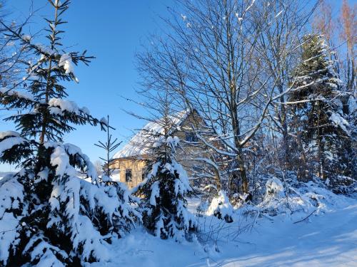 a house covered in snow with trees in the foreground at Osada Karszewo, sauna bania, ryby in Karszewo