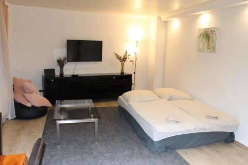 Habitación de hotel con cama y TV en 3 Zimmer 6 Betten Renoviert, en Coblenza