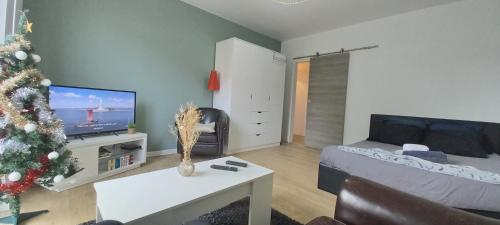 un salon avec un arbre de Noël et une télévision dans l'établissement NEW appartement proche gare et centre-ville, à Colmar