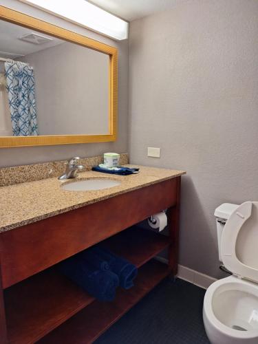 a bathroom with a sink and a mirror and a toilet at Madison Inn & Suites in Madison