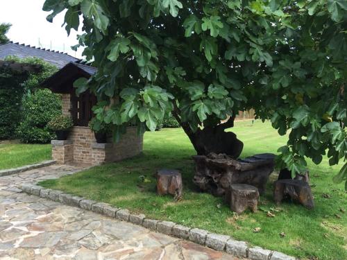 Casa Do Rivera في Cospeito: شجرة بأربعة خشب أمام المنزل