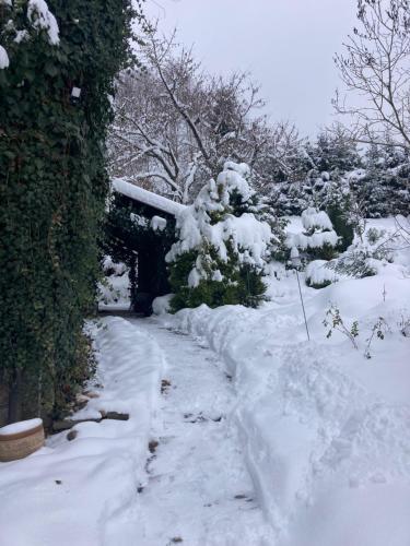 einen schneebedeckten Weg mit Bäumen und einem Haus in der Unterkunft Apartmán Rekys in Jiřetín pod Bukovou